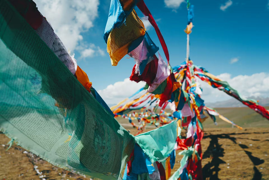 15 Days In-Depth Silk Road Discovery across Western China