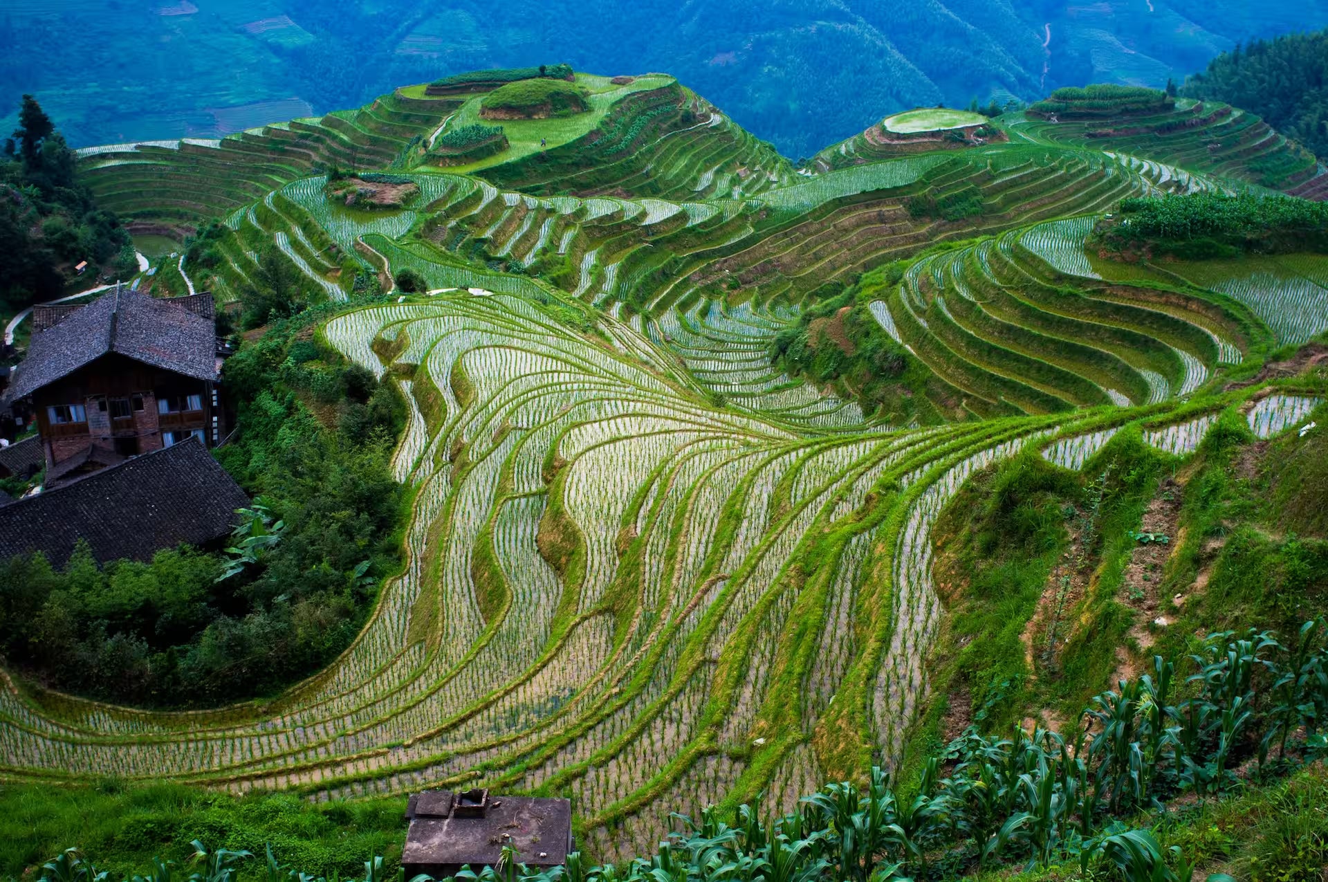 Longji Rice Terraces & Ancient Zhuang Village Day Tour from Guilin