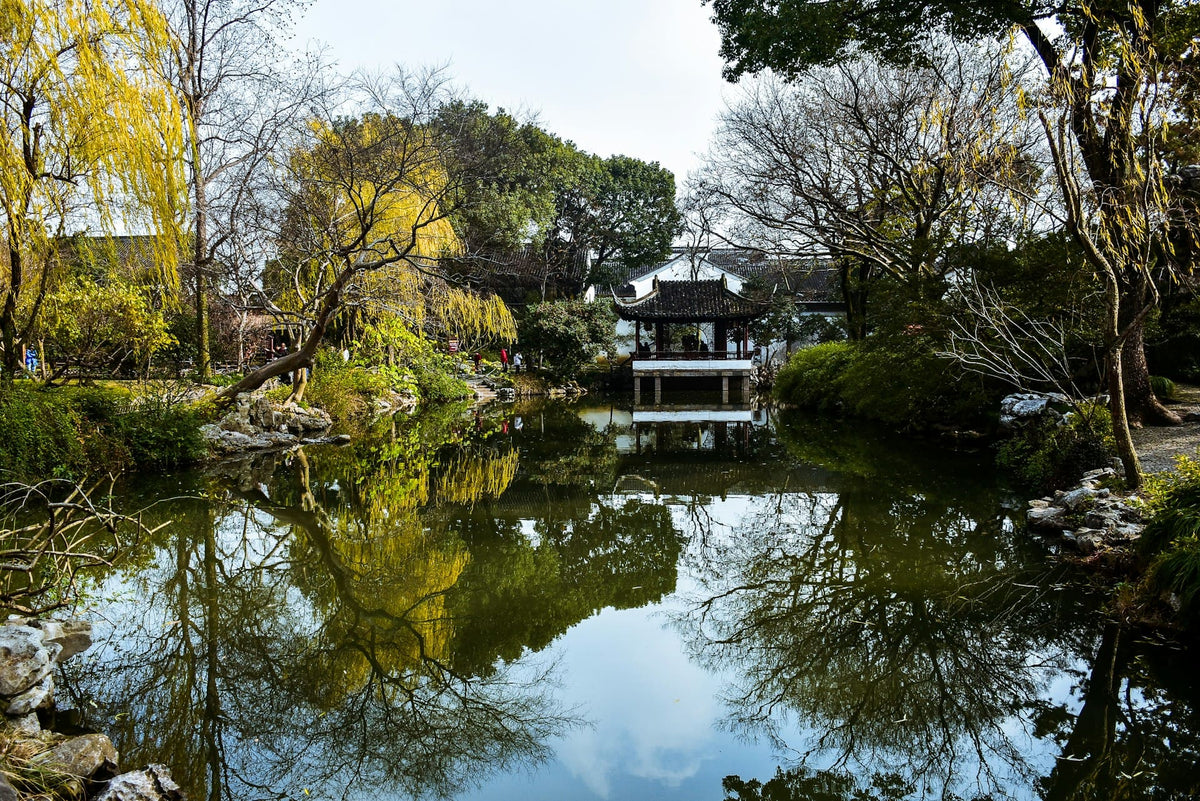 Suzhou Alleyway Food Tour