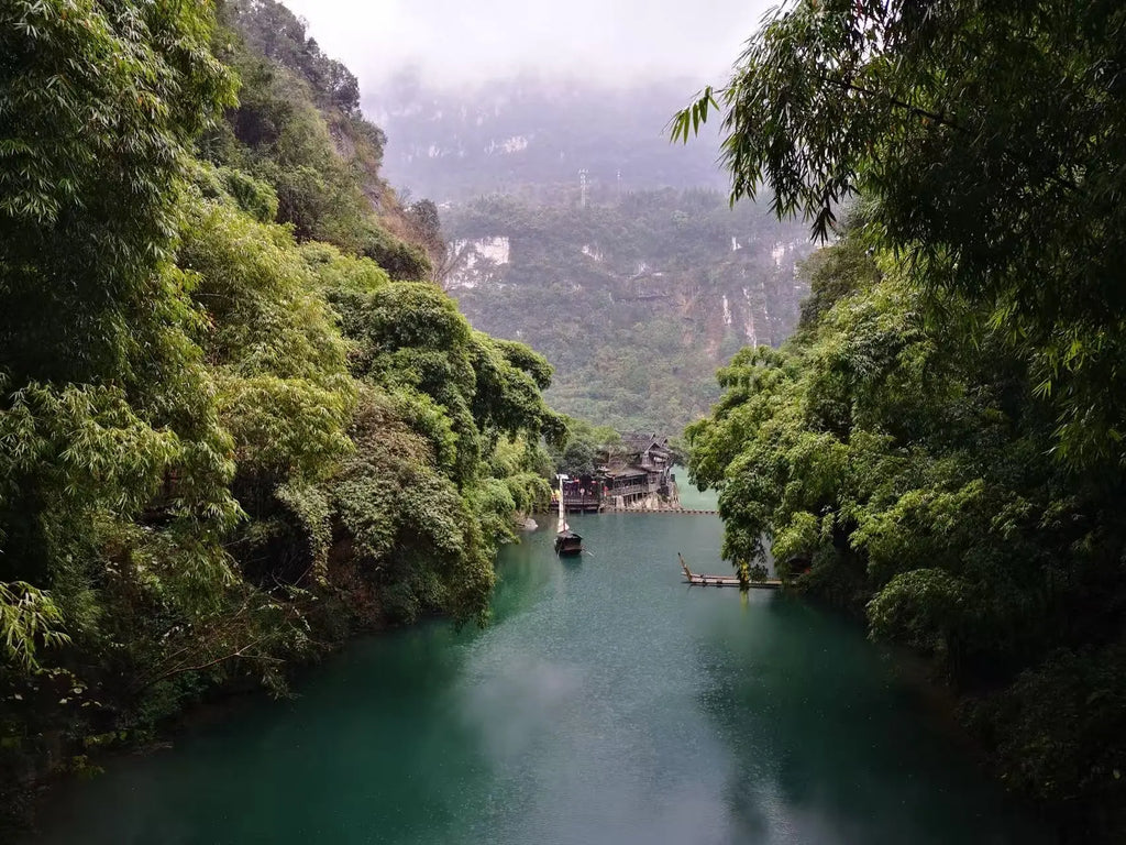 11 days of Beijing - Xi'an - Chongqing - Yangtze River Cruise - Yichang - Shanghai