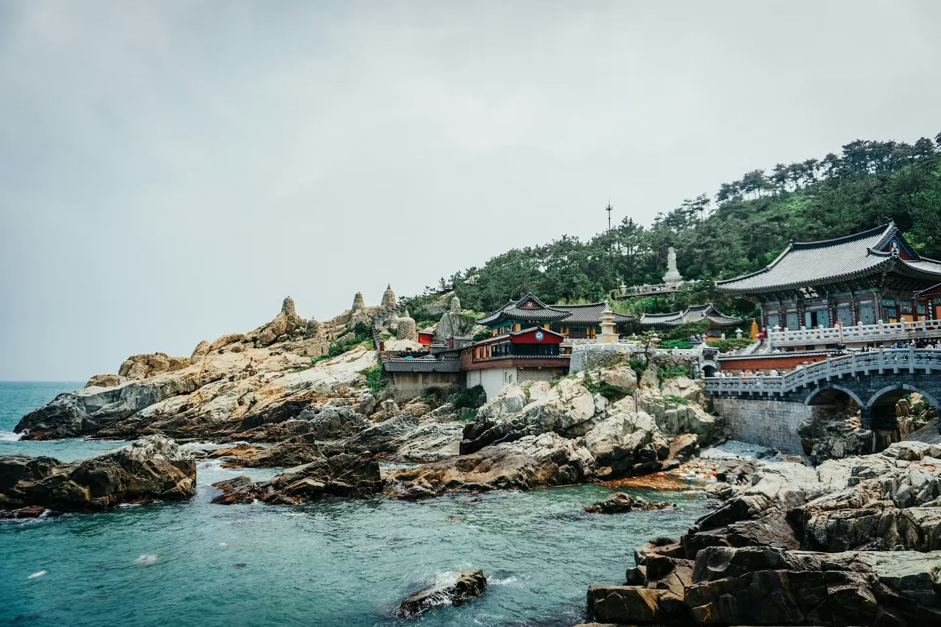 6-Day Seoul & Busan Heritage & Coastal Tour
