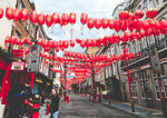 【超值中文】英国伦敦一日深度游（每周六出发） - RobinGO Tours