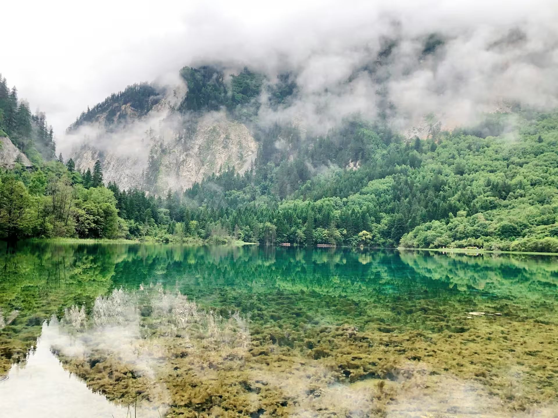 成都発｜九寨溝・黄龍4日間ツアー｜世界遺産を巡る絶景旅 | 4-Day Jiuzhaigou & Huanglong Tour from Chengdu
