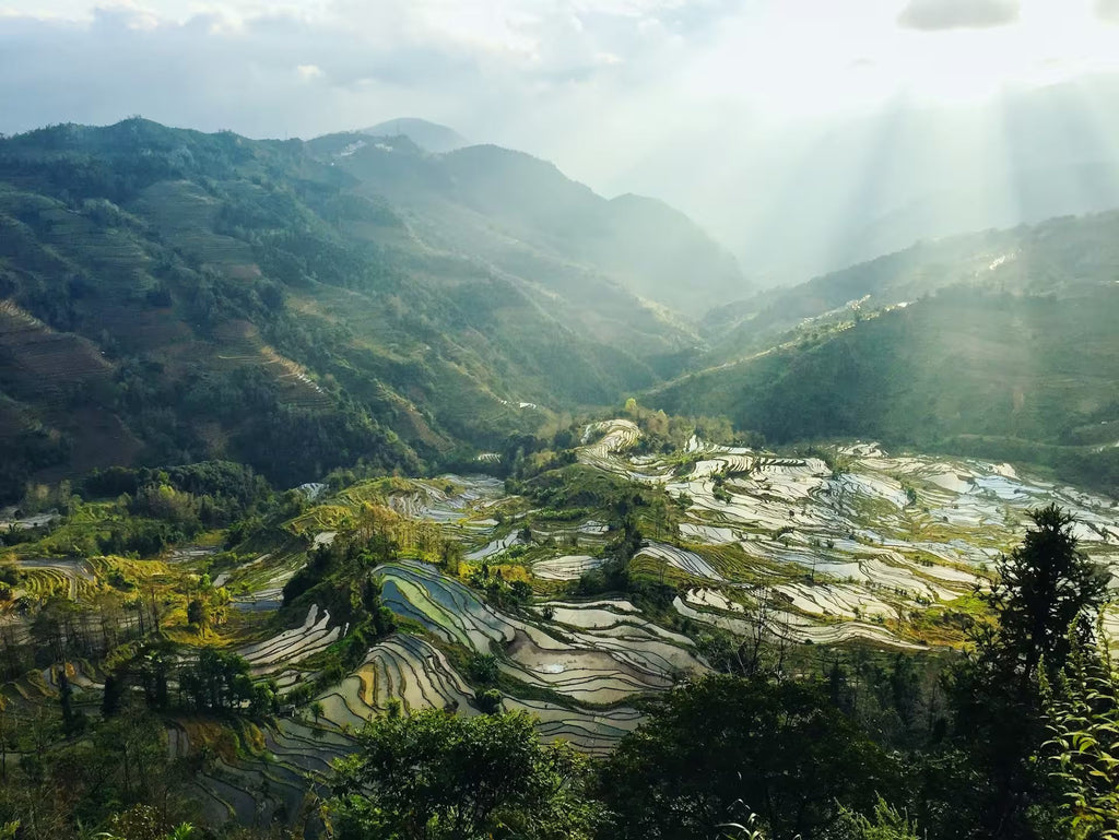 Sunlit rice terraces and mountains in Yunnan, China