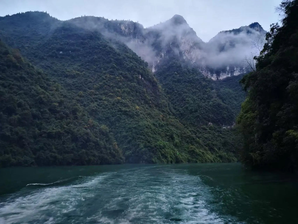 14 days of Beijing - Xi'an - Chengdu - Chongqing - Yangtze River Cruise - Yichang - Shanghai
